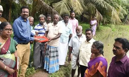 தஞ்சை மாவட்டத்தில் நானோயூரியா செயல் விளக்க முகாம்: ஆட்சியர் ஆய்வு தஞ்சை மாவட்டத்தில் நானோயூரியா செயல் விளக்க முகாம்: ஆட்சியர் ஆய்வு